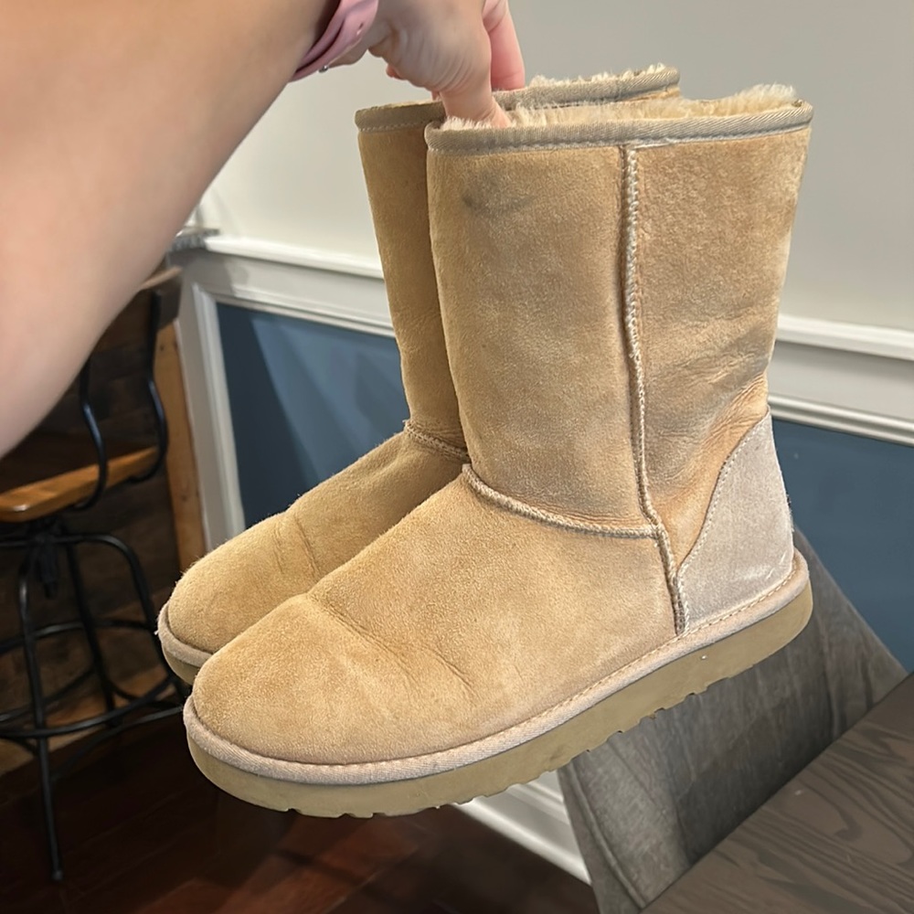 Short uggs